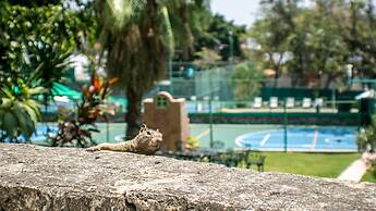 Coral Cuernavaca Resort & Spa