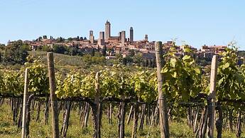 Fattoria Abbazia Monte Oliveto