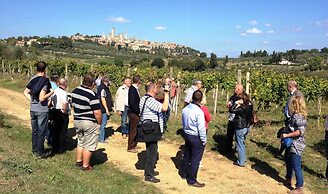 Fattoria Abbazia Monte Oliveto