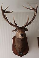 Murrell's Grand View House