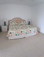 The Horny Toad Guesthouse