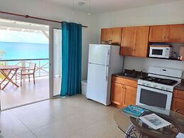 The Horny Toad Guesthouse