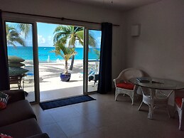 The Horny Toad Guesthouse