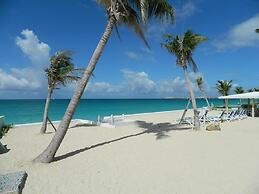 The Horny Toad Guesthouse