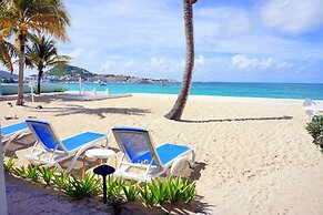 The Horny Toad Guesthouse