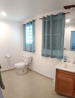 The Horny Toad Guesthouse