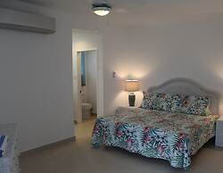 The Horny Toad Guesthouse