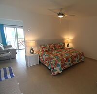 The Horny Toad Guesthouse