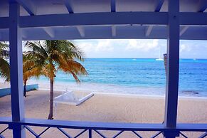 The Horny Toad Guesthouse