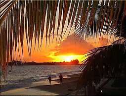 The Horny Toad Guesthouse