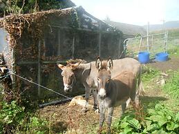 Ashfield Bed & Breakfast