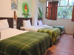 Biohostal Mindo Cloud Forest