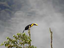 Biohostal Mindo Cloud Forest