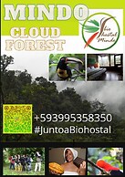 Biohostal Mindo Cloud Forest