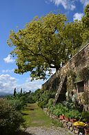 Agriturismo Monteverde