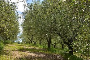 Agriturismo Monteverde