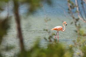 Bandabou Breeze Curacao