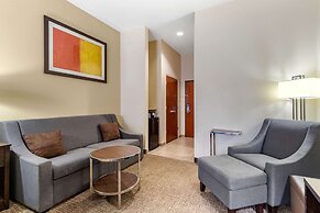 Comfort Inn & Suites Lakeside