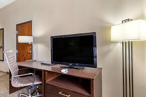 Comfort Inn & Suites Lakeside
