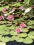 Bastide de Ramatuelle