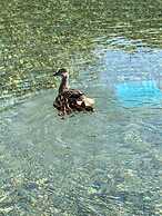 Bastide de Ramatuelle