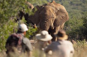Rhulani Safari Lodge