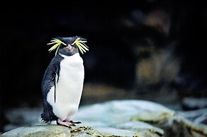 Holiday Inn Express & Suites Calgary NW - University Area by IHG