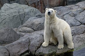 Holiday Inn Express & Suites Calgary NW - University Area by IHG