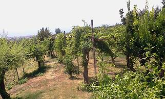 Tenuta Le Fornacelle