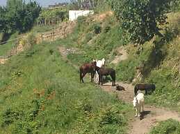 Tenuta Le Fornacelle