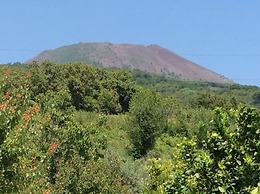 Tenuta Le Fornacelle