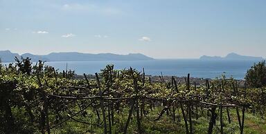 Tenuta Le Fornacelle