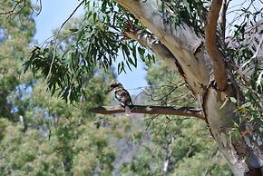 Kookaburra Motor Lodge