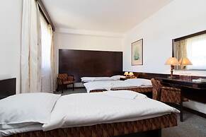 Hotel Merkur