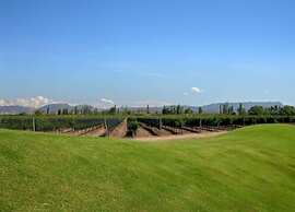 Algodon Wine Estates and Champions Club