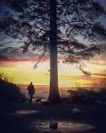 Tofino Motel Harborview