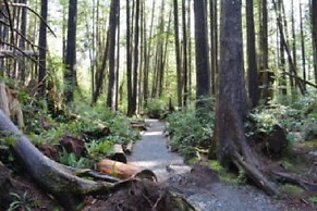 Tofino Motel Harborview