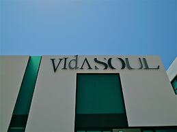 Vidasoul