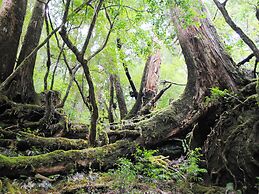 APA Hotel Kagoshima Chuo Ekimae