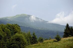 Hotel CARPATIA Bieszczadzki Gościniec