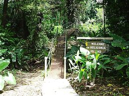 Heliconia Island