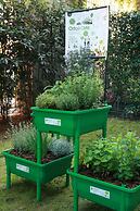 Experience Design Bed & Show