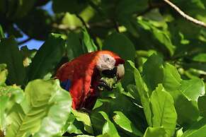 Agua Dulce On The Beach