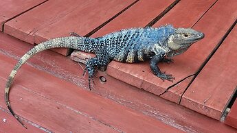 Agua Dulce On The Beach
