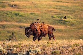 Explorer Cabins At Yellowstone