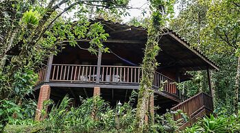 Heliconias Lodge and Rainforest