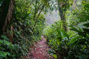 Heliconias Lodge and Rainforest