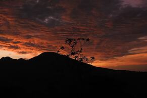 Heliconias Lodge and Rainforest