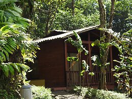 Heliconias Lodge and Rainforest