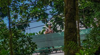 Heliconias Lodge and Rainforest
